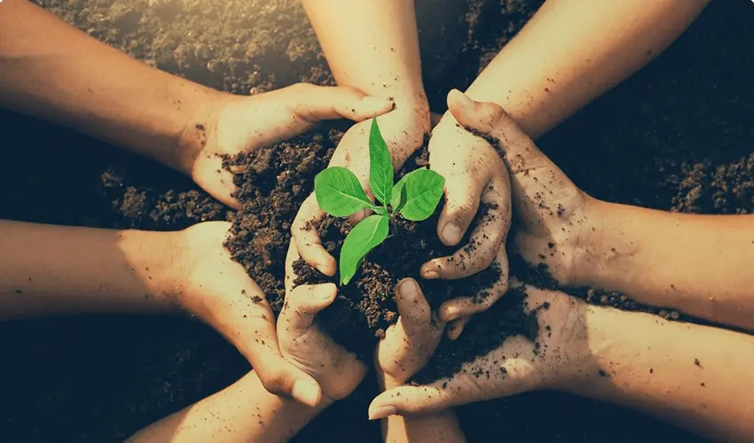 Fund Raising for Tree Plantation - 2025